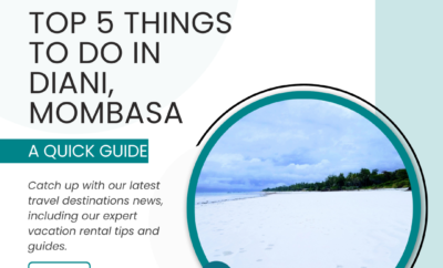 Top 5 Things To Do in Diani Mombasa – A Quick Guide To Diani